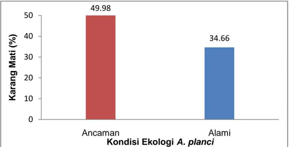 Gambar 10. Rata-rata persentase tutupan karang mati pada kondisi ekologi A. planci. 