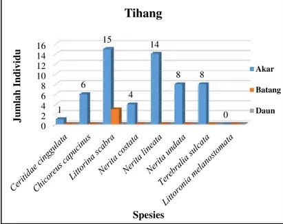 Gambar  2.  Jumlah  Individu  Tiap  Jenis  Gastropoda  pada  Tingkatan  Tihang  Komunitas  Mangrove  Rhizophora  apiculata  di  Teluk  Kendari 