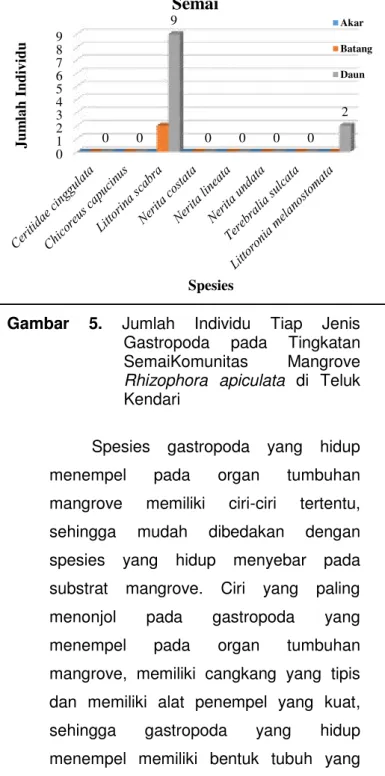 Gambar  5.  Jumlah  Individu  Tiap  Jenis  Gastropoda  pada  Tingkatan  SemaiKomunitas  Mangrove  Rhizophora  apiculata  di  Teluk  Kendari 