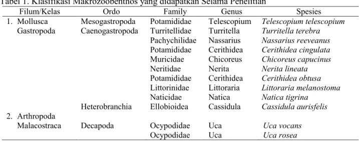 Tabel 1. Klasifikasi Makrozoobenthos yang didapatkan Selama Penelitian 