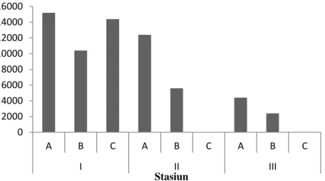 Gambar 2. Kelimpahan populasi Birgus yang memakai cangkang C. rostractum pada  masing- masing stasiun (Zona A adalah upper, Zona B adalah middle, dan  Zona C adalah lower)