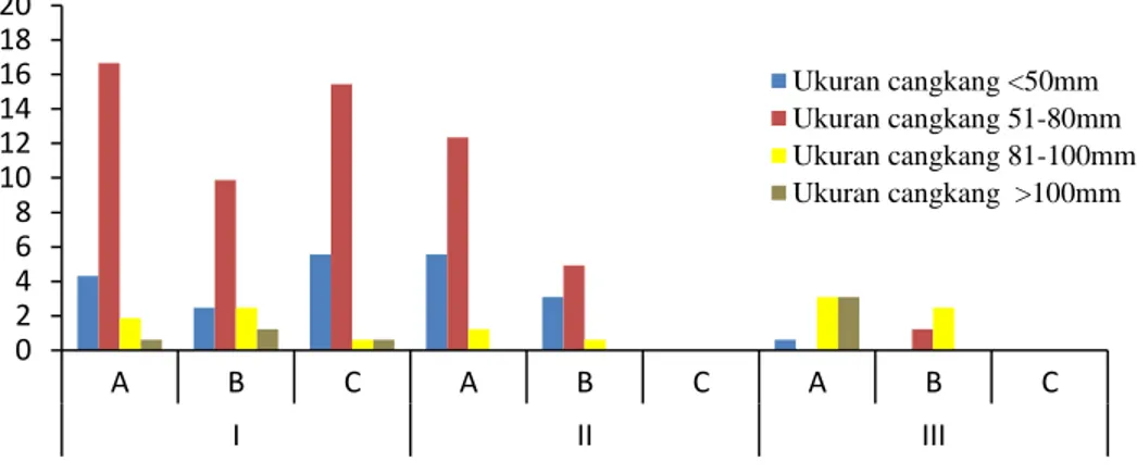Gambar 4. Persentase jumlah individu berdasarkan kelompok ukuran cangkang yang  dipakai Birgus pada masing-masing stasiun (Zona A adalah upper, Zona  B adalah middle, dan Zona C adalah lower)
