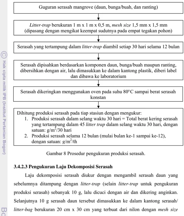 Gambar 8 Prosedur pengukuran produksi serasah.  