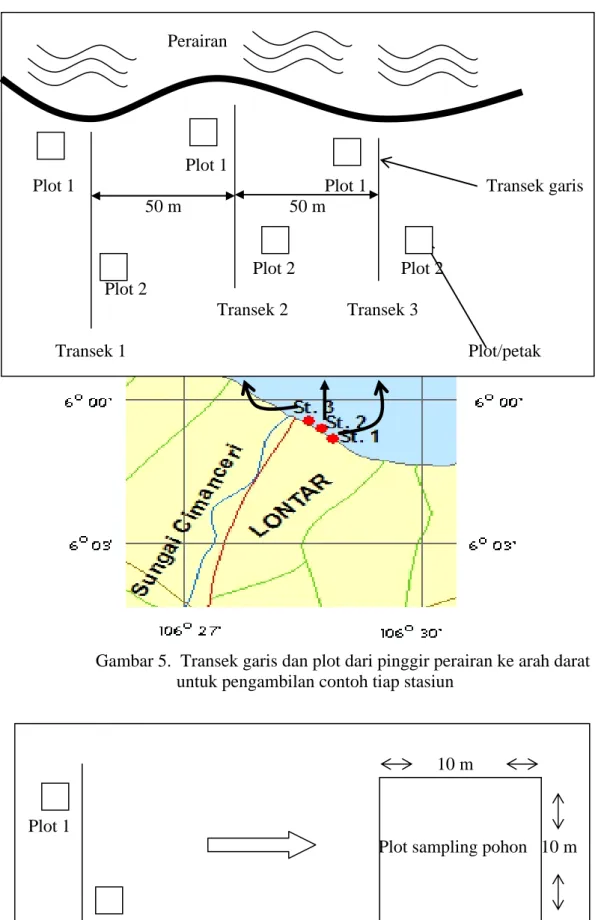 Gambar 5.  Transek garis dan plot dari pinggir perairan ke arah darat  untuk pengambilan contoh tiap stasiun 