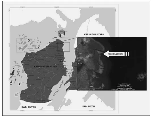 Gambar 2.  Lokasi Pengambilan contoh kerang lumpur Anodonitaedentula Linnaeus, 1758 di  peisir Lambiku, Kecamatan Napabalano, Kabupaten Muna 