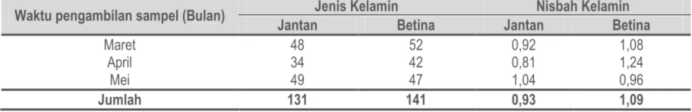 Tabel  1.  Nisbah kelamin kerang lumpur (Anodontia edentula Linnaeus, 1758) jantan dan betina berdasarkan  waktu pengambilan sampel di Pesisir Lambiku, Kecamatan Napabalano, Kabupaten Muna.