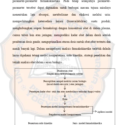 Gambar 1.  Tahap analisis farmakokinetika 