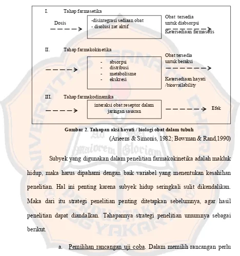 Gambar 2. Tahapan aksi hayati / biologi obat dalam tubuh 