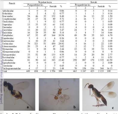 Tabel 3 Famili dalam ordo Hymenoptera yang dikoleksi selama penelitian 