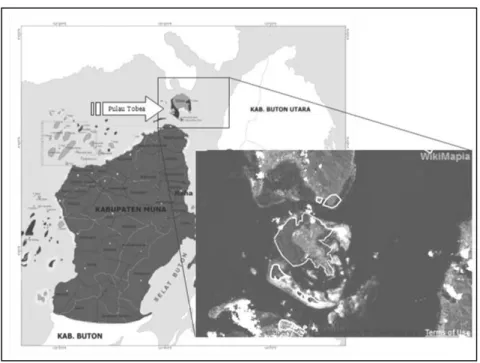 Gambar  2.  Lokasi  pengambilan  contoh  kerang  lumpur  Anodontia  edentula  Linnaeus,  1758  di  pulau  Tobea,  kecamatan  Napabalano,  kabupaten Muna (Rochmady, 2011)