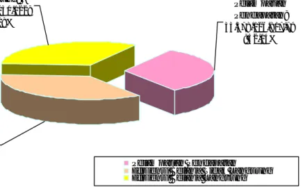 Gambar 3.6. Komponen SILPA Tahun Anggaran 2012
