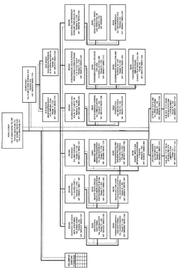 Gambar 4.1 Struktur Organisasi Dinas Koperasi, Usaha Kecil Menengah (UKM) dan 