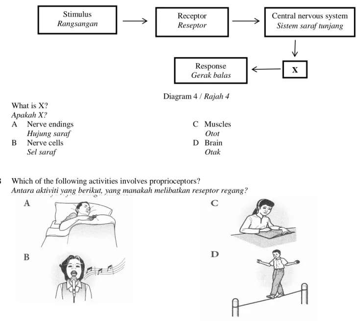 Diagram 4 / Rajah 4  What is X? 