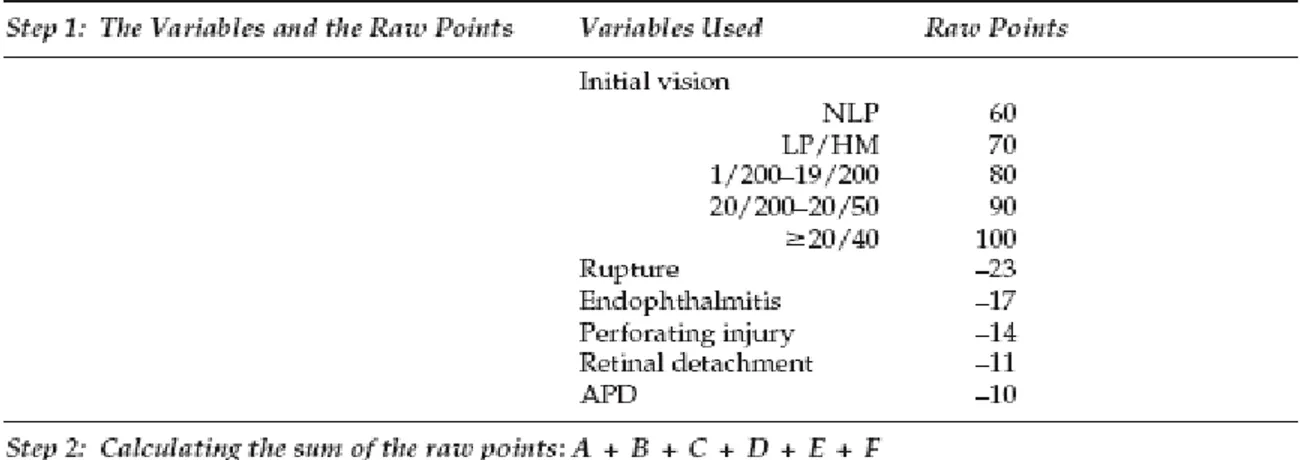 tabel untuk menghitung skor pada trauma mata sesuai dengan BETT (Birmingham Eye Trauma Terminology), dengan memperhatikan enam aspek, meliputi ketajaman penglihatan awal, ada tidaknya   rupture,   ada   tidaknya   endoftalmitis,   ada   tidaknya   perforas