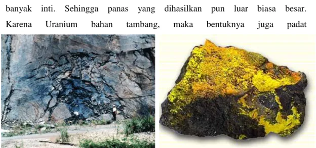Gambar 2 : Bahan tambang Uranium 
