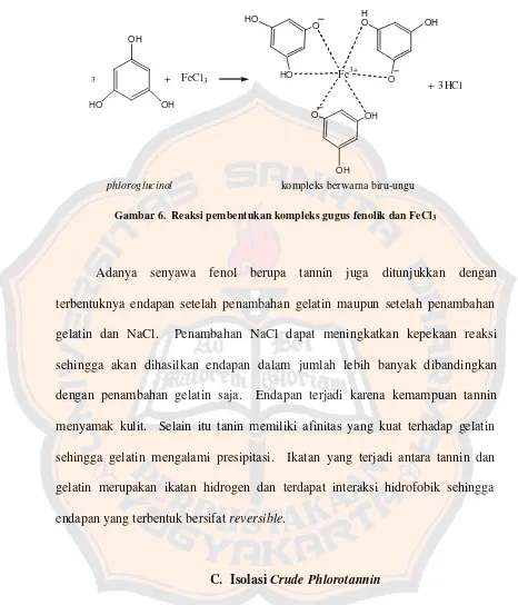 Gambar 6.  Reaksi pembentukan kompleks gugus fenolik dan FeCl3  