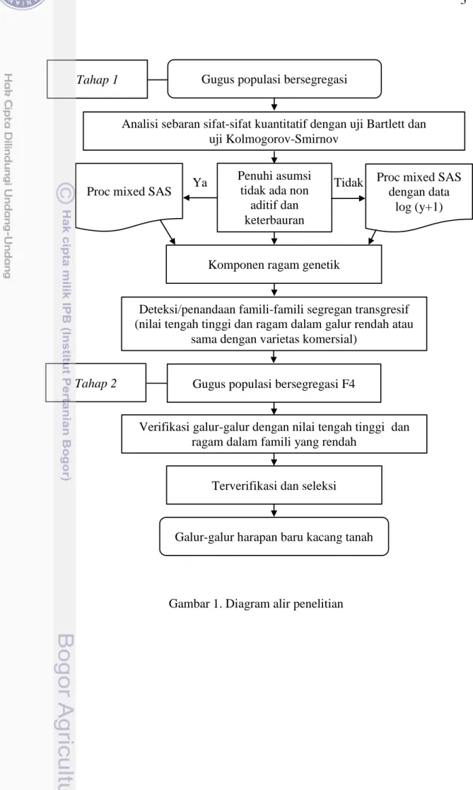 Gambar 1. Diagram alir penelitian Tahap 2 