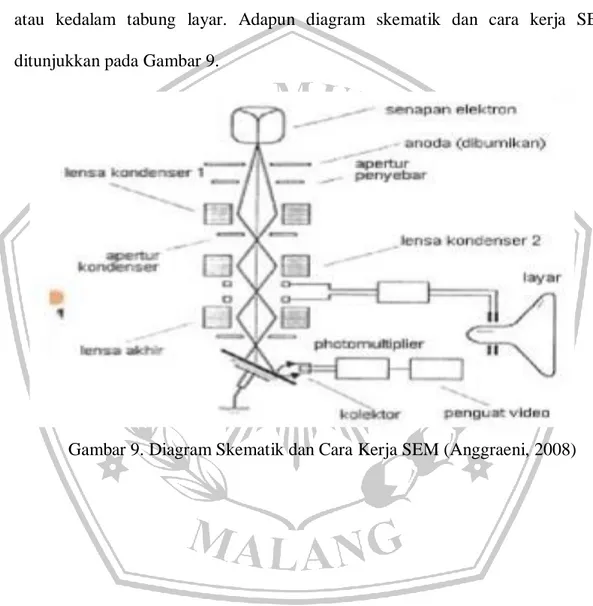 Gambar 9. Diagram Skematik dan Cara Kerja SEM (Anggraeni, 2008) 