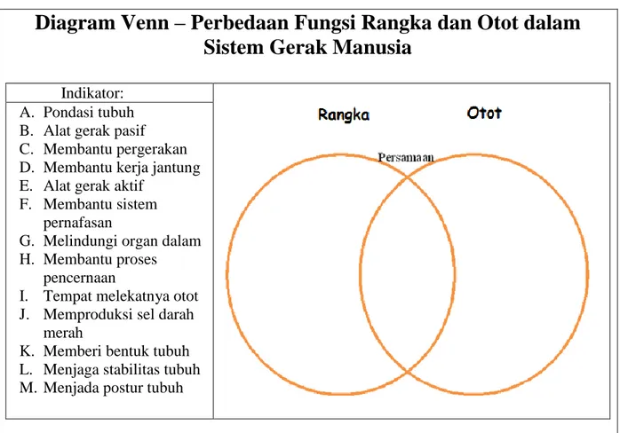 Diagram Venn – Perbedaan Fungsi Rangka dan Otot dalam  Sistem Gerak Manusia 