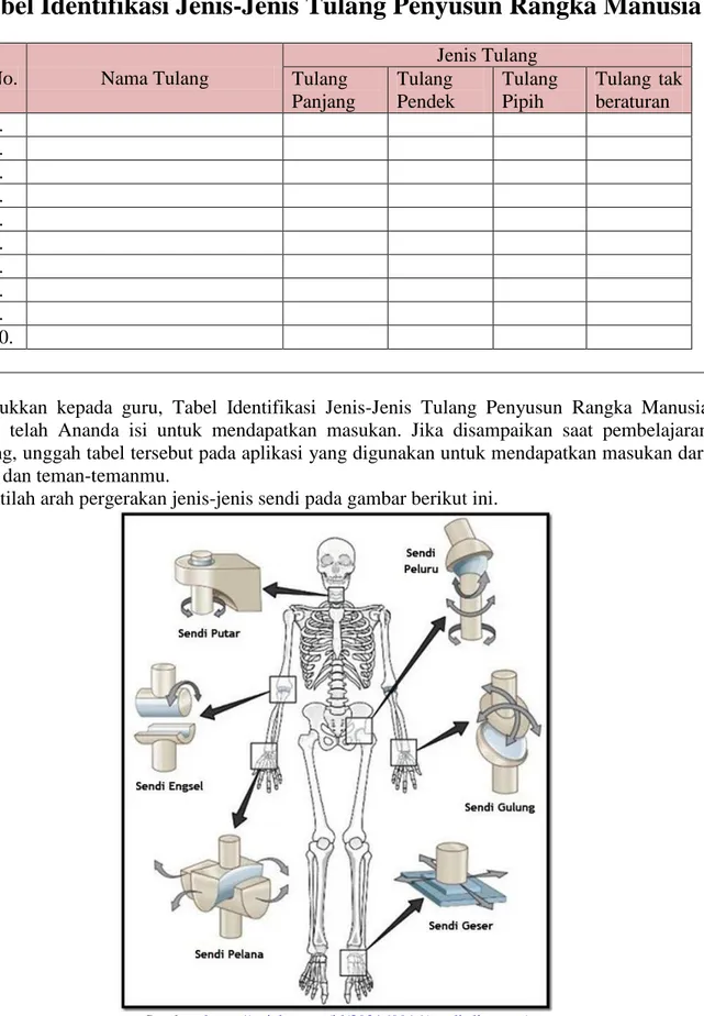 Tabel Identifikasi Jenis-Jenis Tulang Penyusun Rangka Manusia 