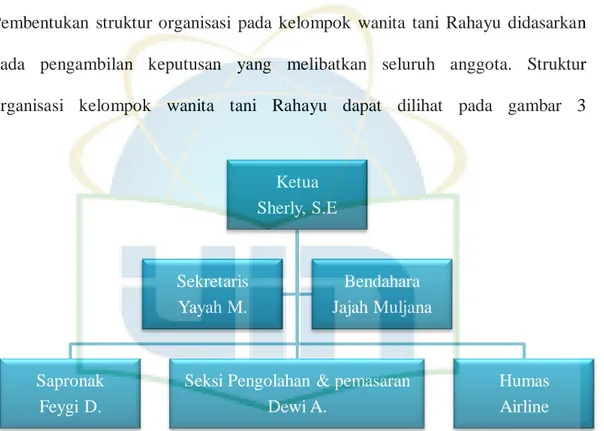 Gambar 3. Struktur Organisasi Kelompok Wanita Tani Rahayu 