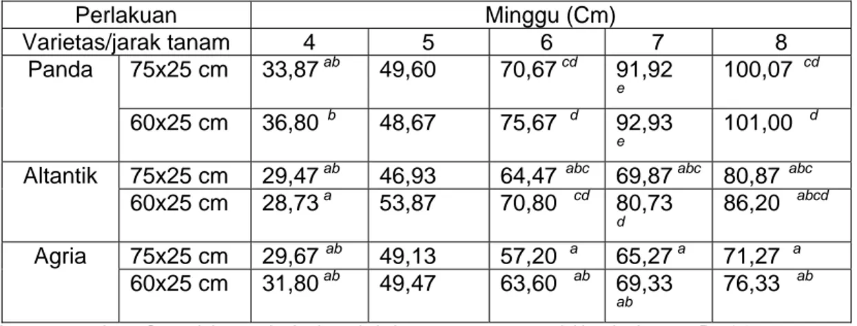 Tabel 2.  Pertumbuhan pada parameter tinggi tanaman   varietas kentang dengan  kombinasi jarak tanam 