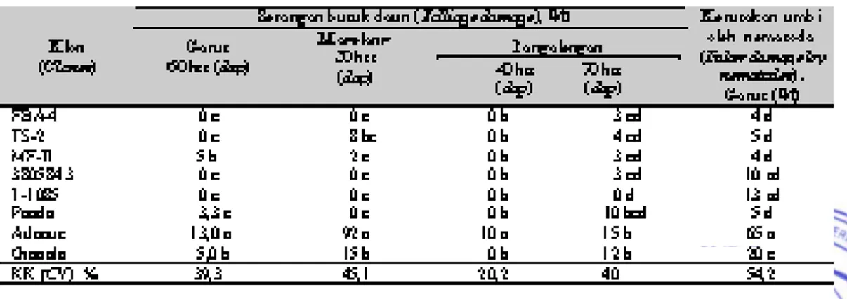 Tabel 1. Serangan penyakit busuk daun di Garut (2000), Magelang (2003), dan Pangalengan (2003)  serta  kerusakan umbi oleh nematoda di Garut  (2003) (Foliage damage by late blight at Garut, Magelang,  and Pangalengan also tuber damage by nematodes in Garut