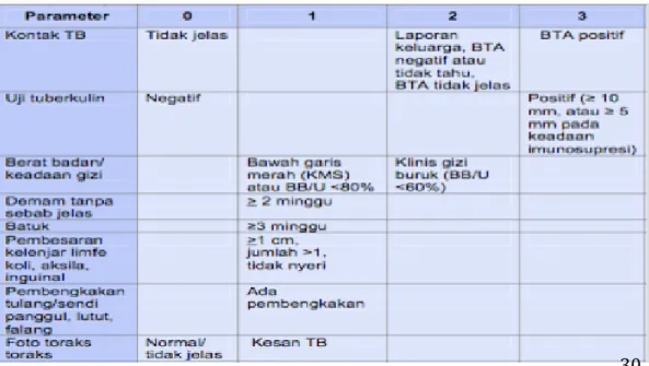 Gambar 2 : Bagan patogenesis tuberkulosis