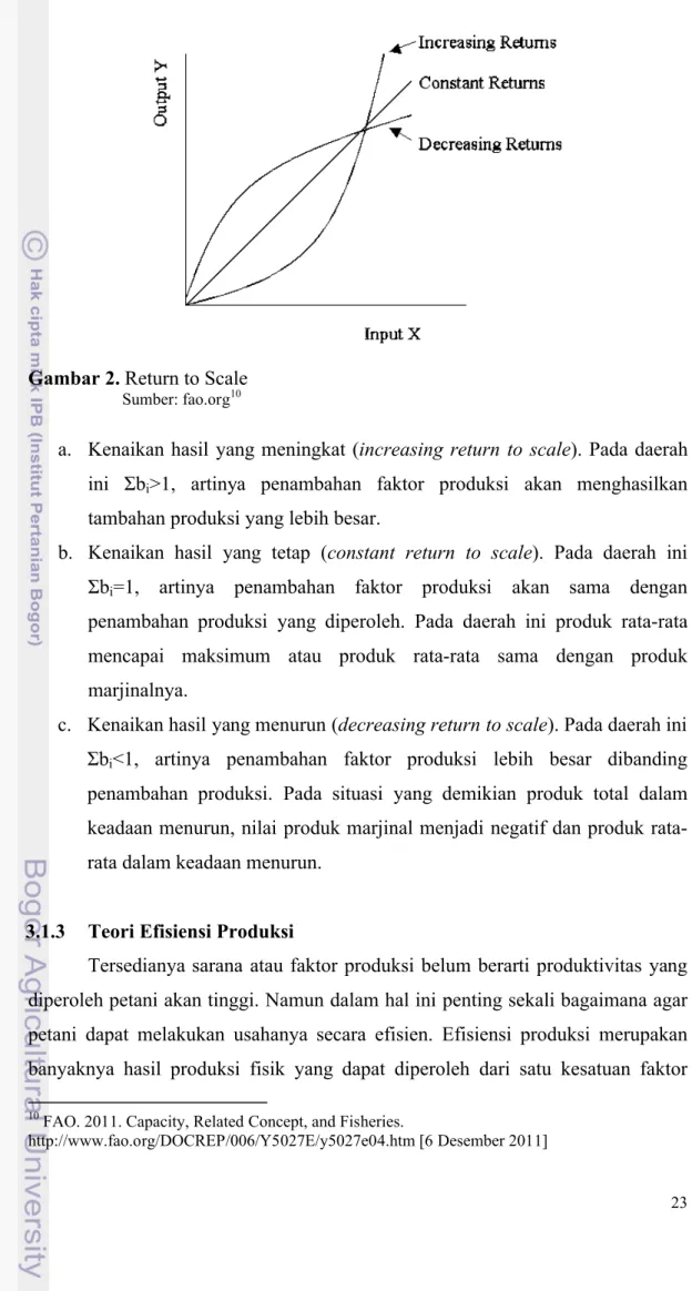 Gambar 2. Return to Scale