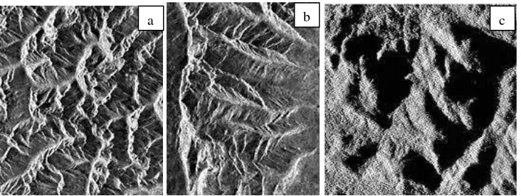 Gambar 1.1 Distorsi Geometri pada citra SAR, efek foreshortening (a); layover (b); Shadow (c)  (Sumber: CCRS, 2014) 