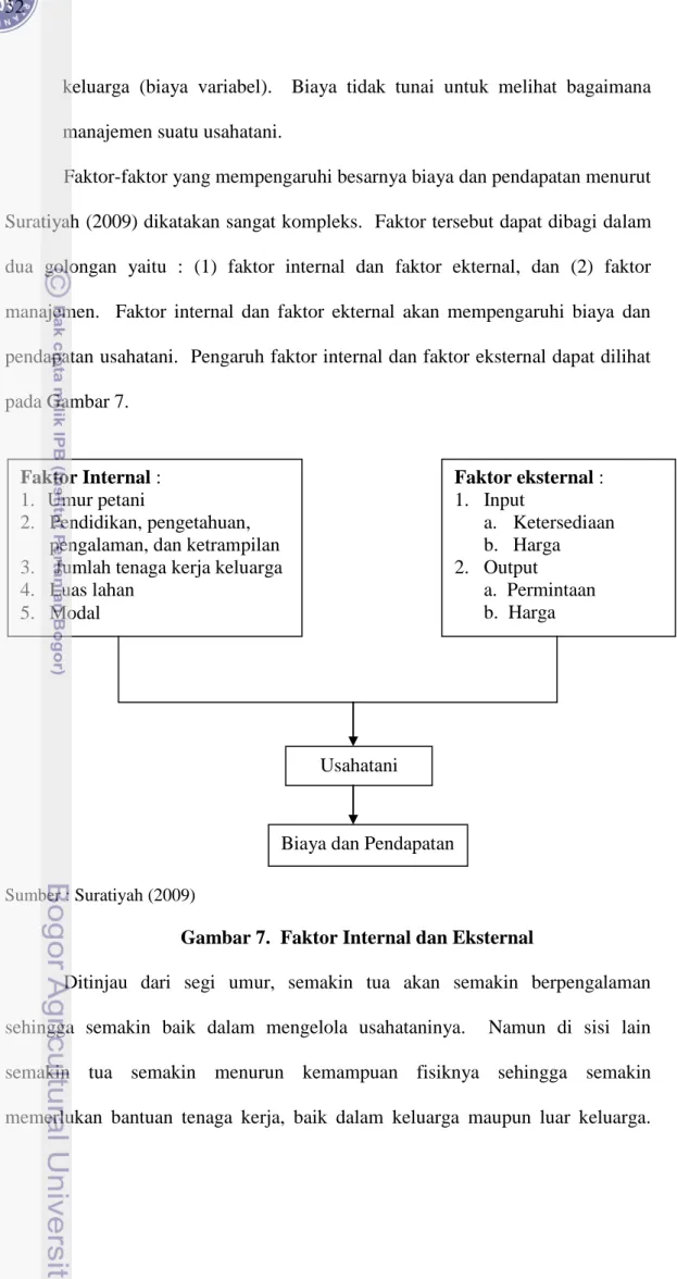 Gambar 7.  Faktor Internal dan Eksternal 