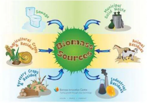 Gambar 2.1 Sumber-sumber biomassa 