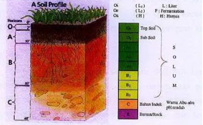 Gambar 2.2  Tebal solum  tanah 