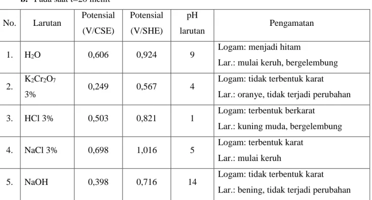 Gambar 4.1.2 Pengamatan Visual (t=20 menit) 