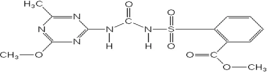 Gambar 5. Struktur Kimia Metil Metsulfuron (Riadi, 2011) 