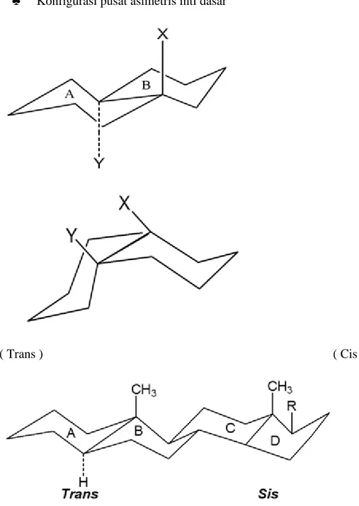 Gambar 2. Konfigurasi dengan struktur Planar Steroid 