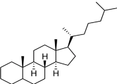 Gambar 4. Struktur kolestan , salah satu steroid relatif sederhana    