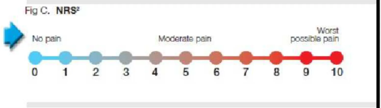 Gambar 2.7-3. Numerical Rating Scale