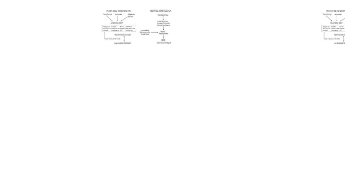 Gambar 2.2-1. Mekanisme sensitisasi perifer dan sensitisasi sentral 34 .