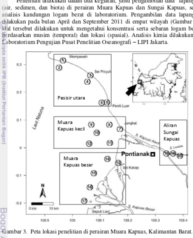 Gambar 3. Peta lokasi penelitian di perairan Muara Kapuas, Kalimantan Barat. 