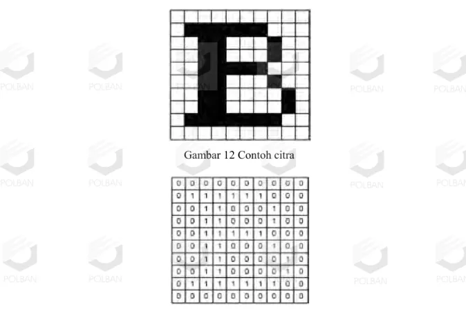Gambar 12 Contoh citra 