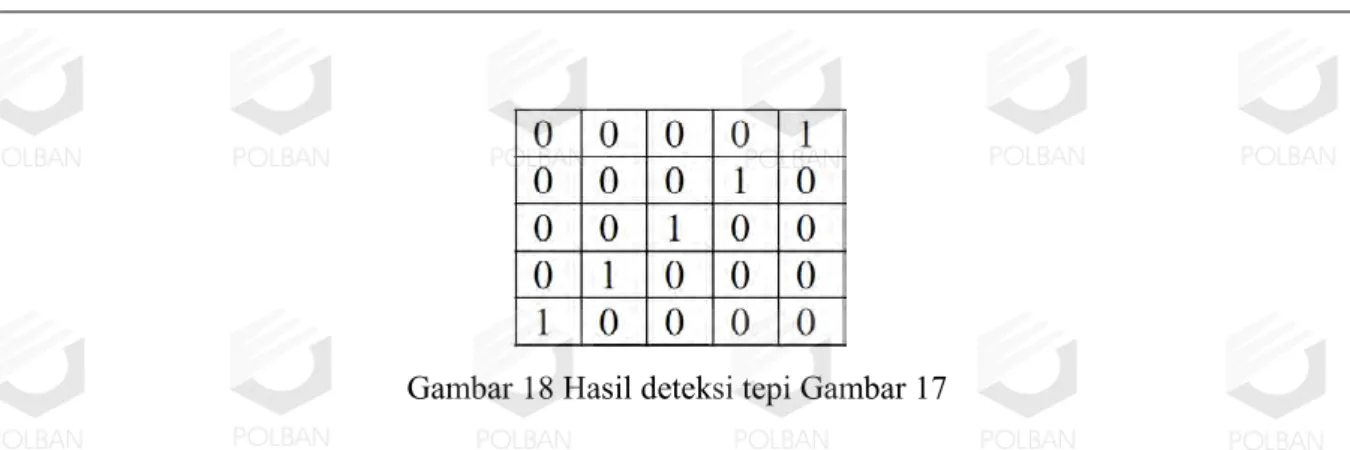 Gambar 19 Input dan output deteksi tepi 