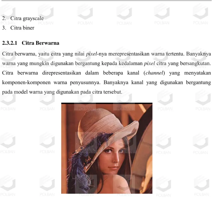Gambar 10 Citra berwarna 