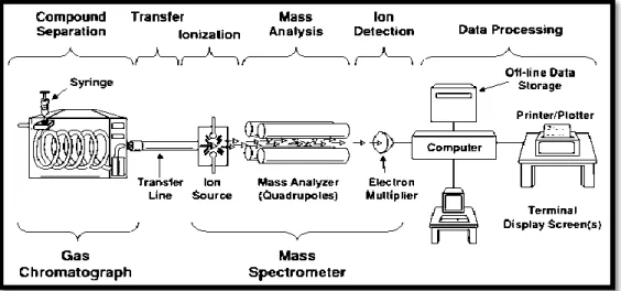 Gambar 2.7.  Skema sistem kerja KG-SM (Peters dkk., 1993) 