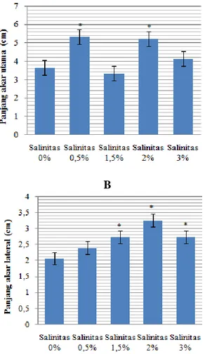 Gambar  7A  menunjukkan  bahwa  panjang  akar  utama  semai  R.  apiculata  tertinggi ditunjukkan pada salinitas 0,5% yaitu  5,35 cm dan yang terendah pada salinitas 1,5% 