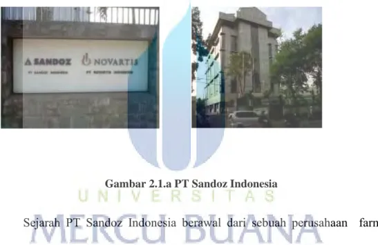 Gambar 2.1.a PT Sandoz Indonesia 
