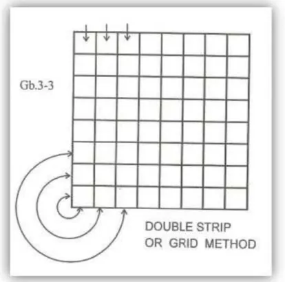 Gambar 1. Strip Method  Strip Method  (dikutip dari kepustakaan 5) (dikutip dari kepustakaan 5)