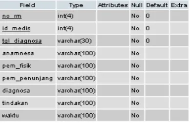 Tabel 3.15 Aturan Domain Entitas Mendiagnosa 