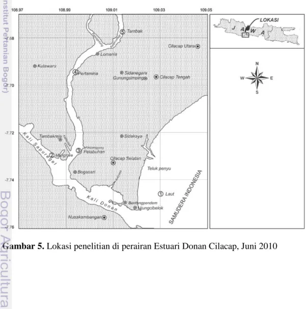 Gambar 5. Lokasi penelitian di perairan Estuari Donan Cilacap, Juni 2010 