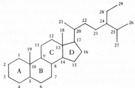 Gambar 10  Struktur molekuler steroid (Killops &amp; Killops 1993). 